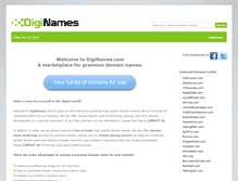 Tablet Screenshot of diginames.com